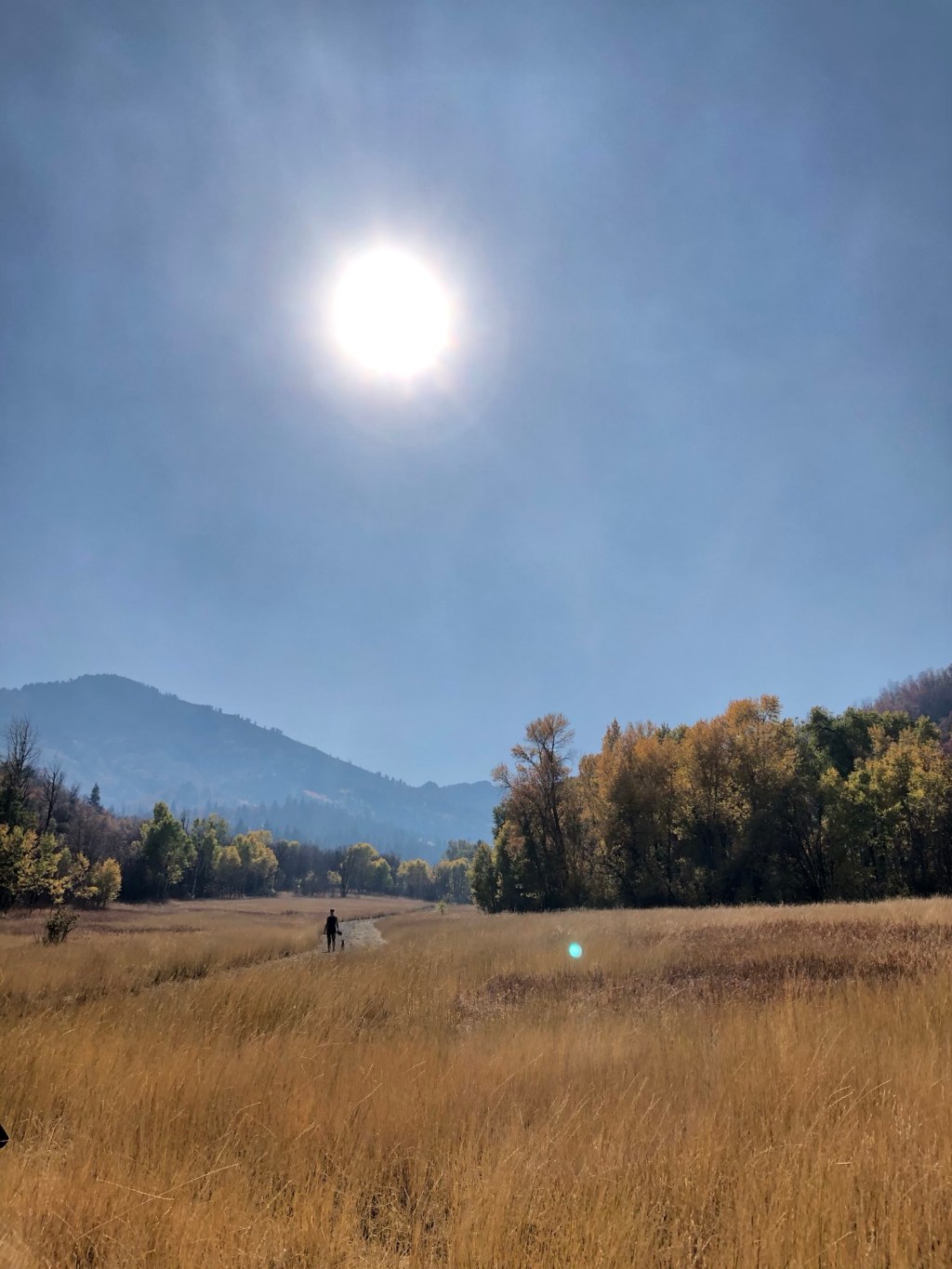 One Foot in Front of the&nbsp;Other